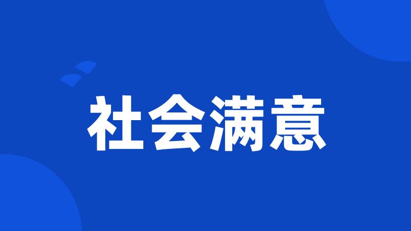 社会满意