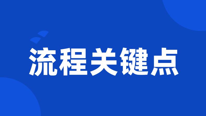 流程关键点