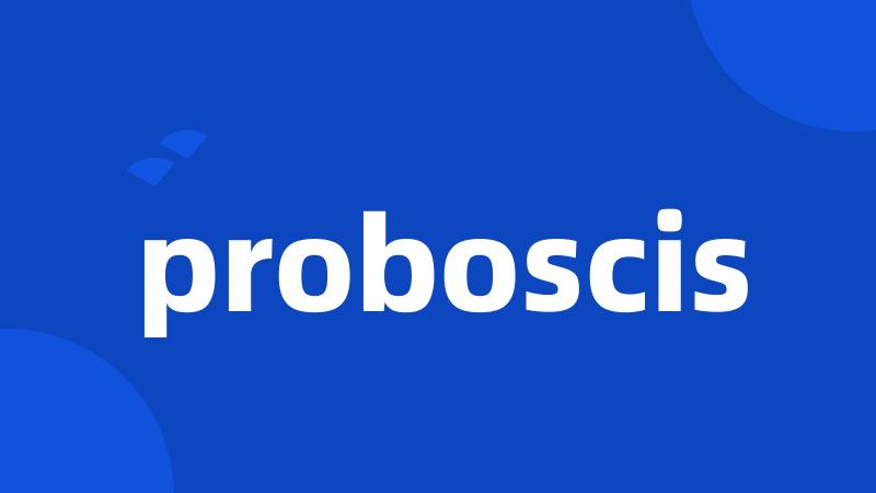 proboscis