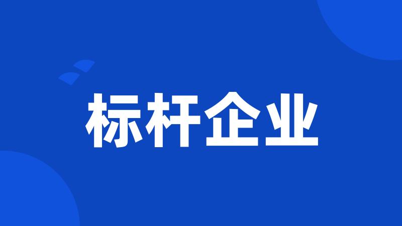 标杆企业