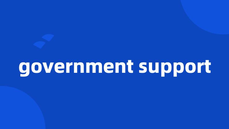 government support