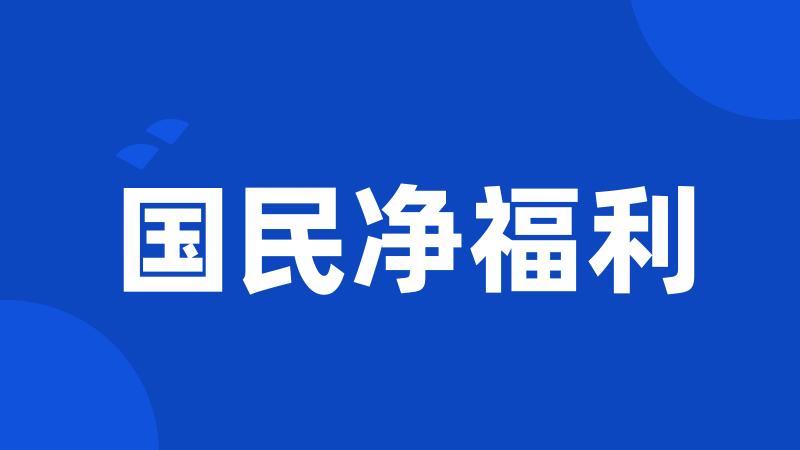 国民净福利