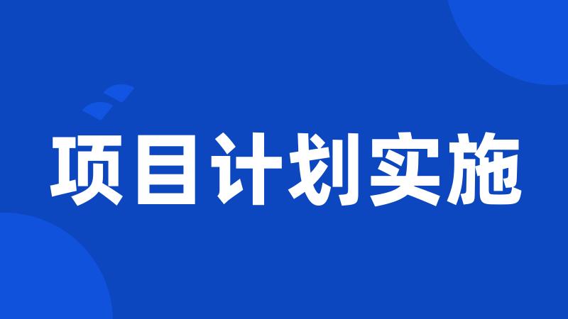 项目计划实施