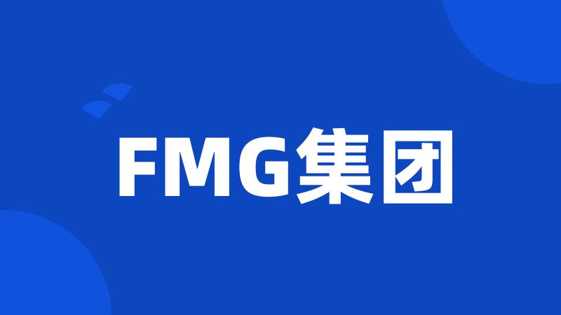 FMG集团