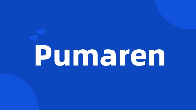 Pumaren