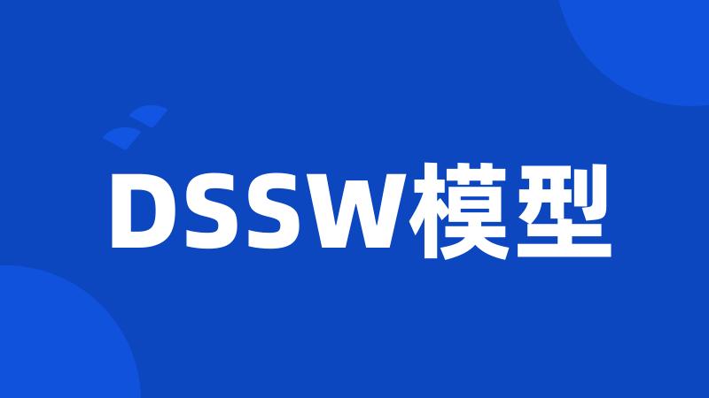 DSSW模型