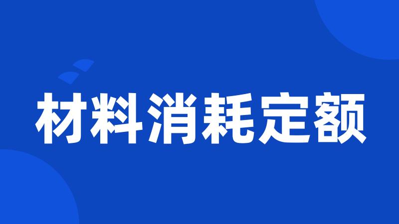 材料消耗定额