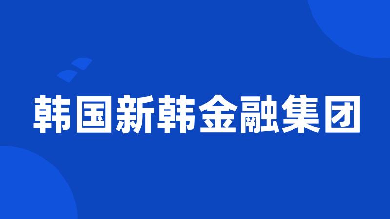 韩国新韩金融集团