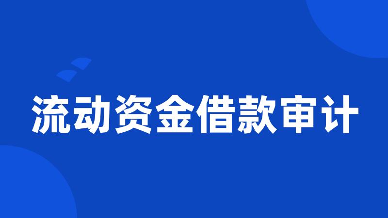 流动资金借款审计