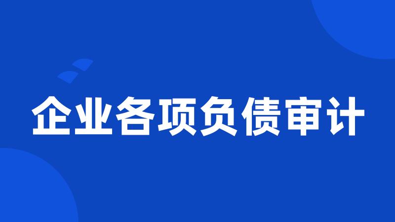 企业各项负债审计