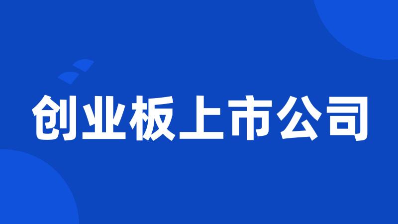 创业板上市公司