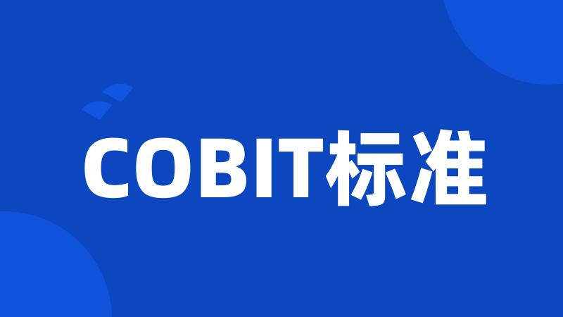 COBIT标准