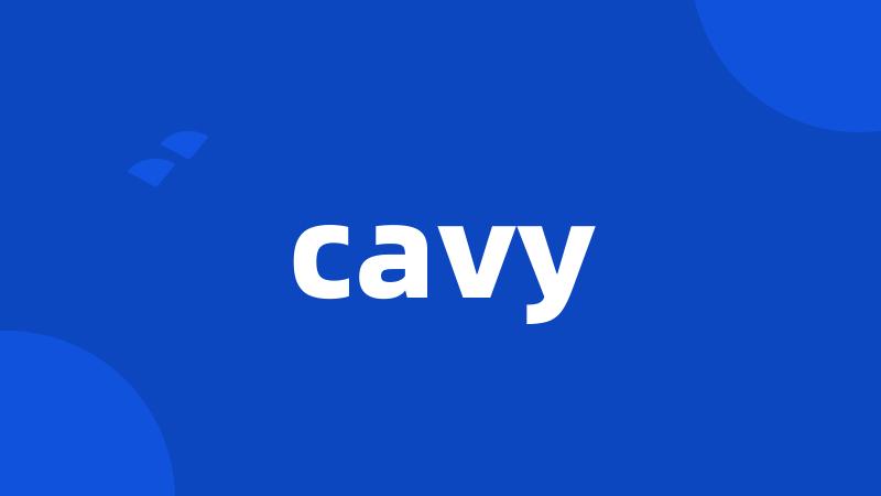 cavy