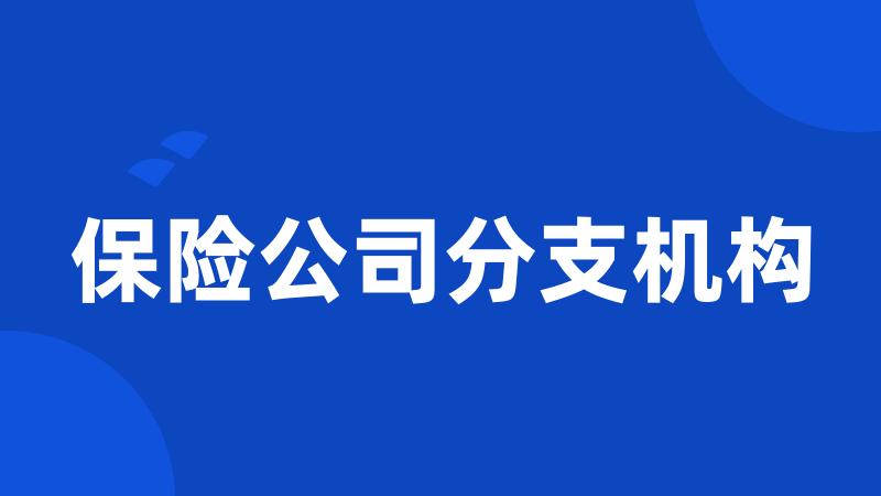 保险公司分支机构