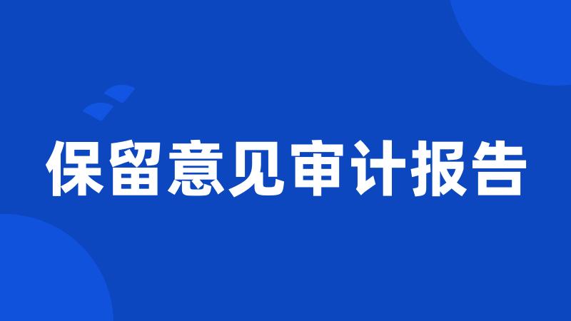 保留意见审计报告