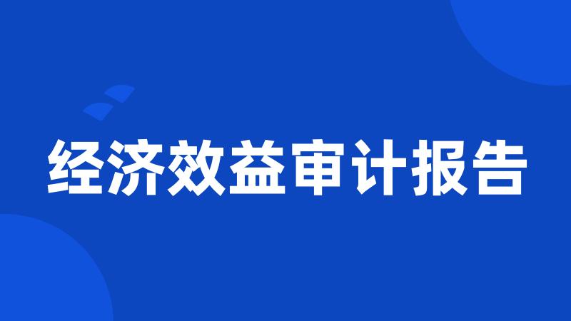 经济效益审计报告