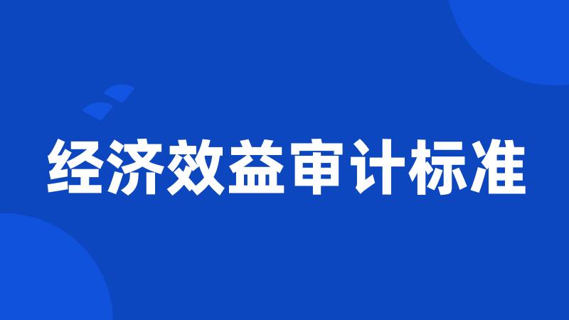 经济效益审计标准