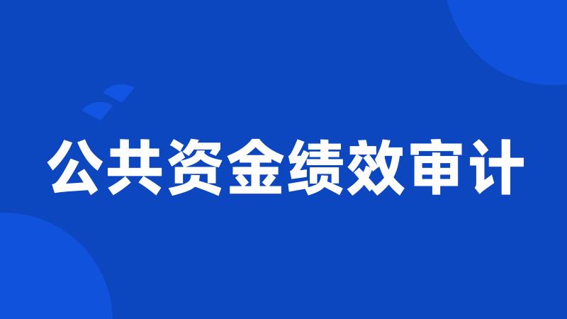 公共资金绩效审计