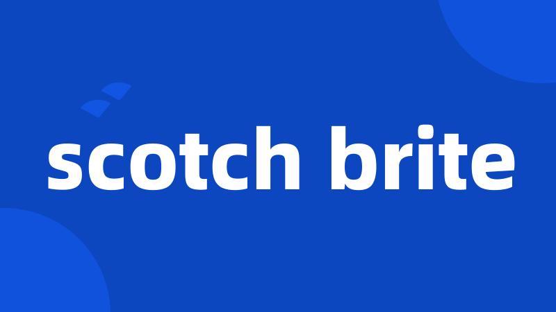 scotch brite