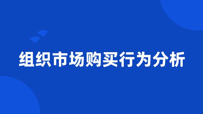 组织市场购买行为分析