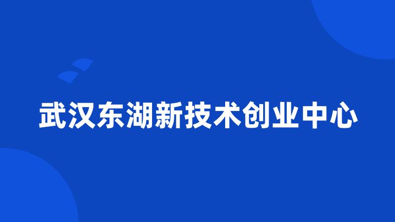 武汉东湖新技术创业中心