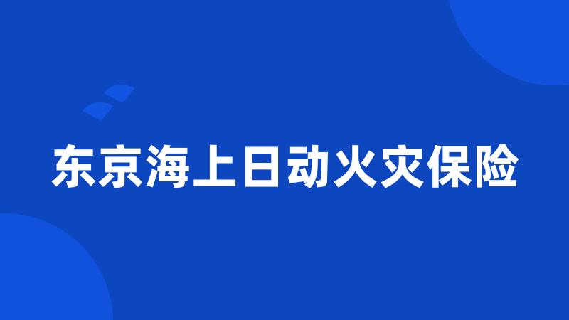 东京海上日动火灾保险