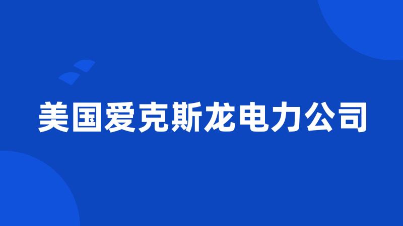 美国爱克斯龙电力公司