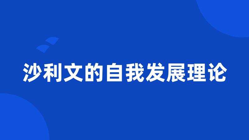 沙利文的自我发展理论