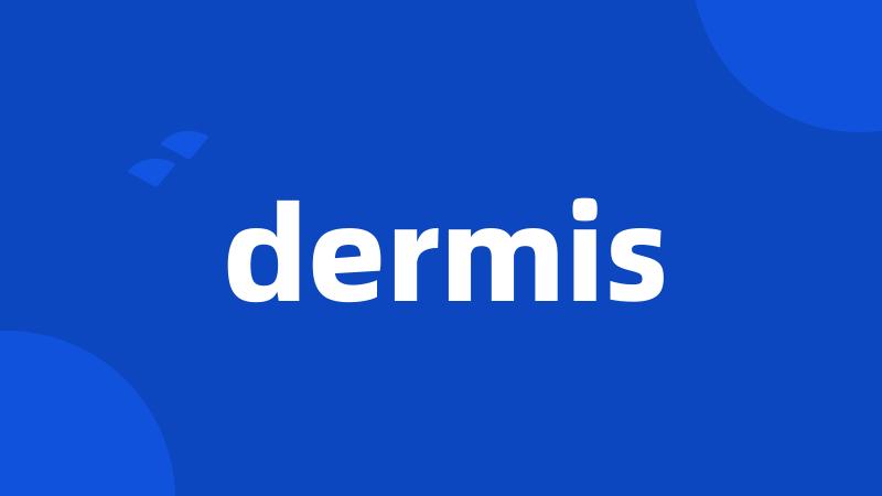 dermis