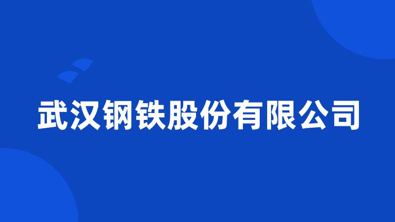 武汉钢铁股份有限公司