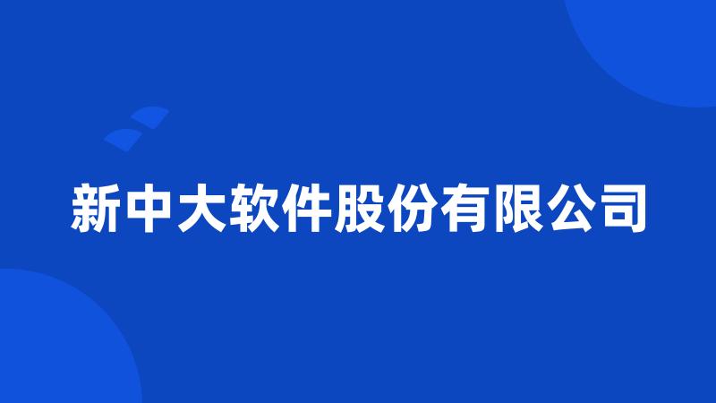 新中大软件股份有限公司