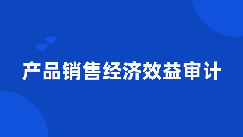 产品销售经济效益审计