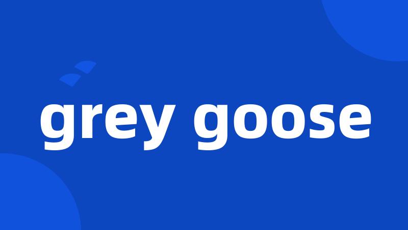 grey goose