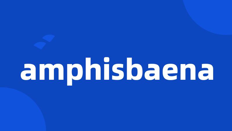 amphisbaena