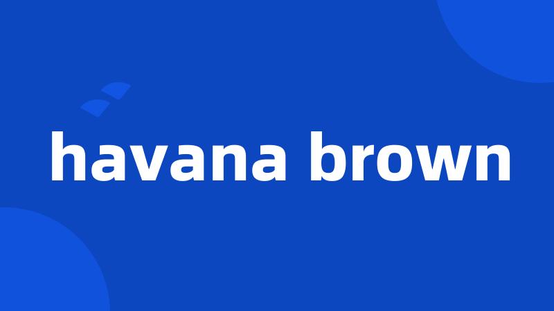 havana brown