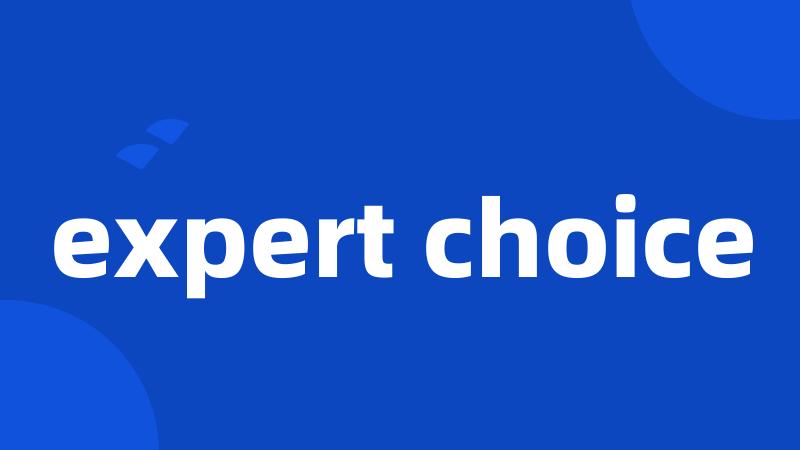 expert choice