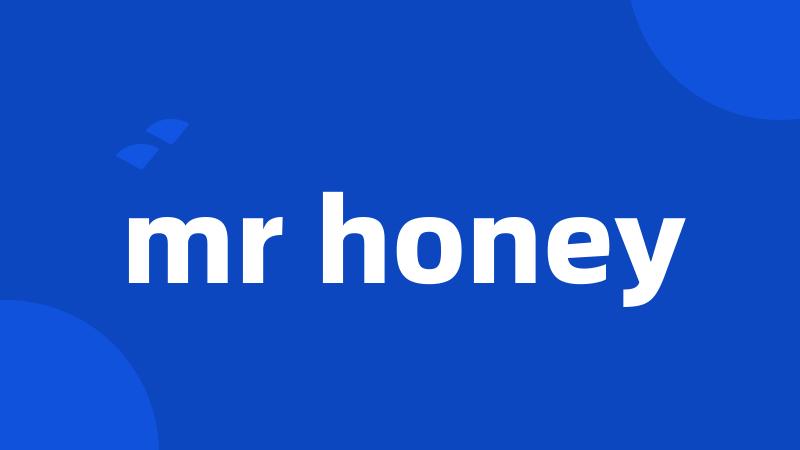 mr honey