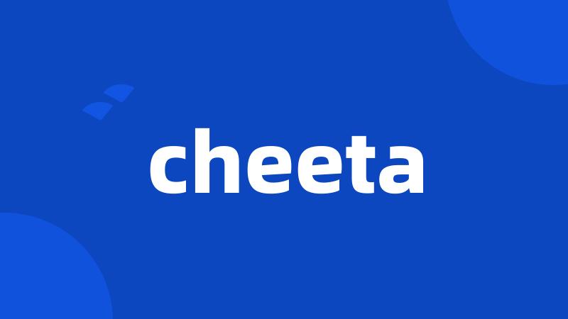 cheeta