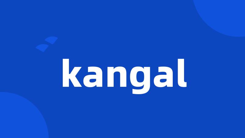 kangal