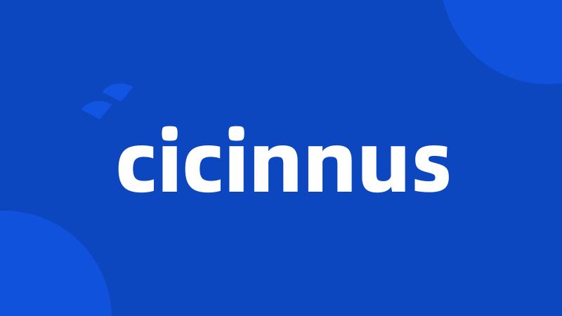 cicinnus