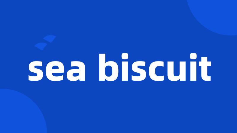 sea biscuit