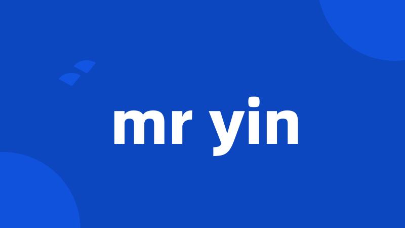 mr yin