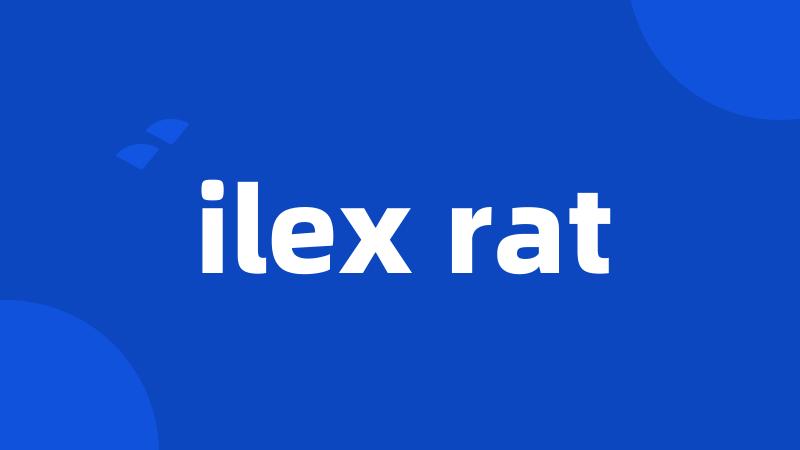 ilex rat