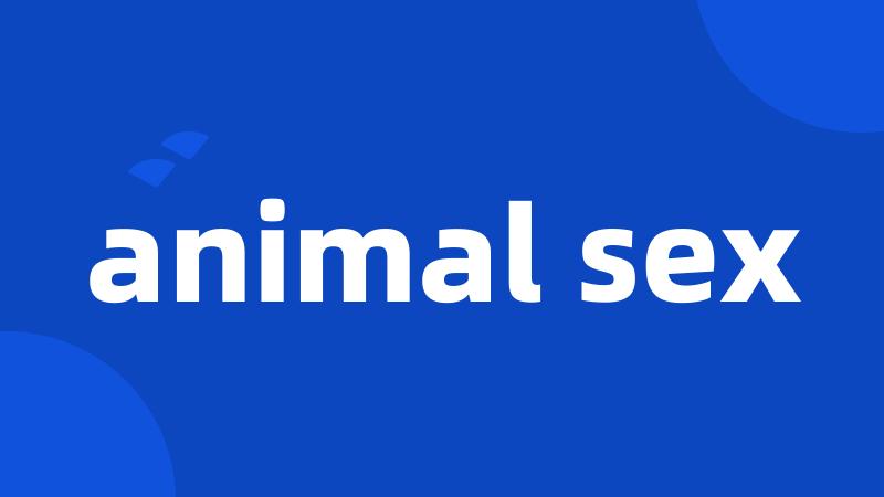 animal sex