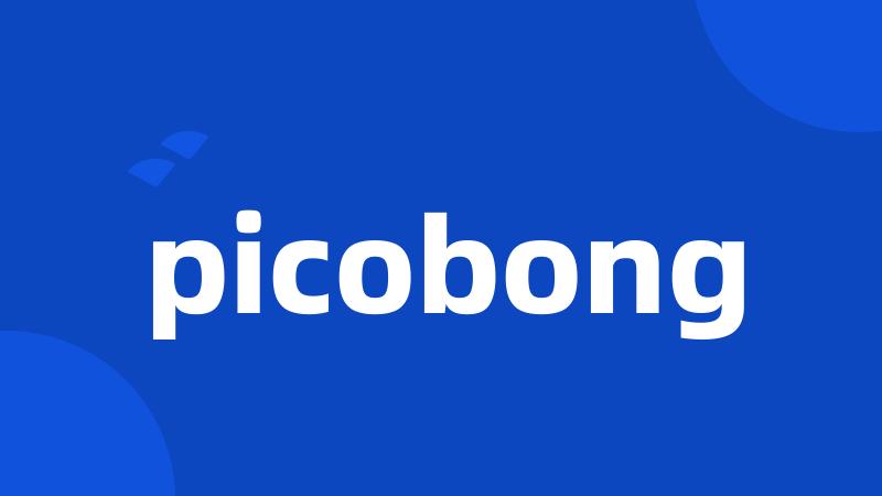 picobong