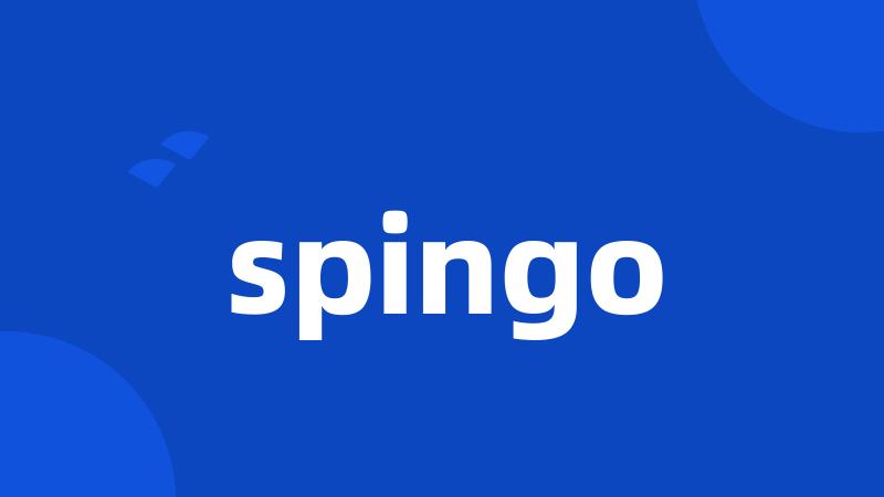 spingo