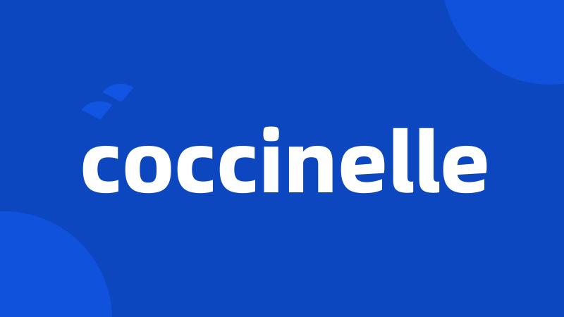 coccinelle