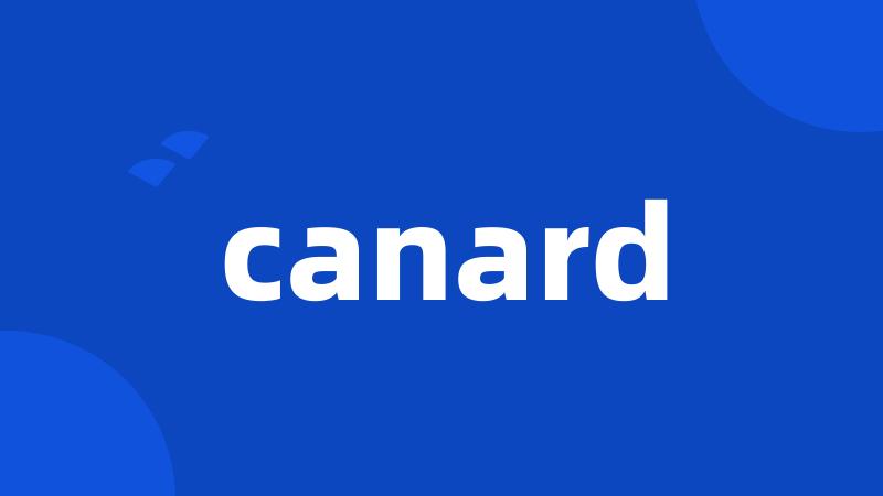 canard