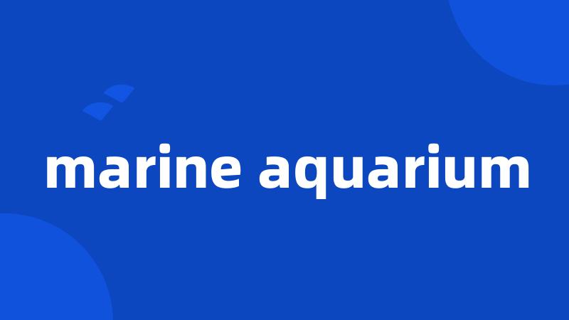 marine aquarium