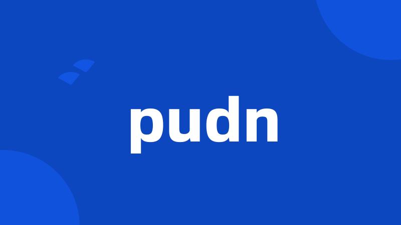 pudn